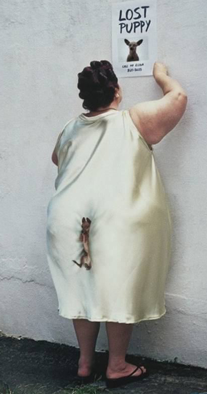 articles: LostPuppy2.jpg